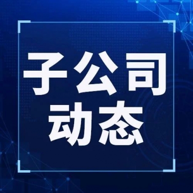 审计整改强治理 筑牢发展新防线